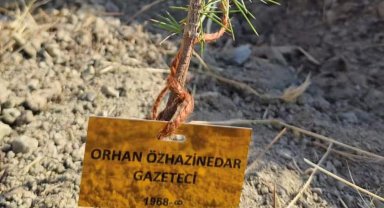 Gazeteciler adına fidan diktiler