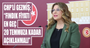 Gezmiş; “Fındık fiyatı en geç 20 Temmuza kadar açıklanmalı”