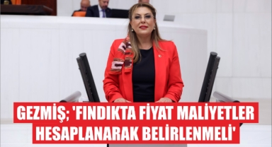 Gezmiş; ‘Fındıkta fiyat maliyetler hesaplanarak belirlenmeli’
