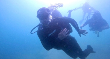 Giresun Belediye Başkanı Sualtına Daldı