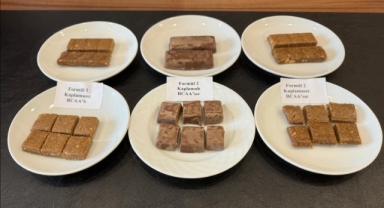 Giresun'da bir ilk! Fındıktan yüksek proteinli sporcu yiyeceği üretildi