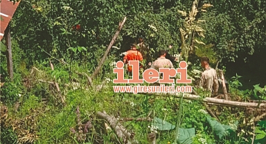 Giresun'da Bir Vatandaş Kayboldu! Arama Çalışmaları Başlatıldı