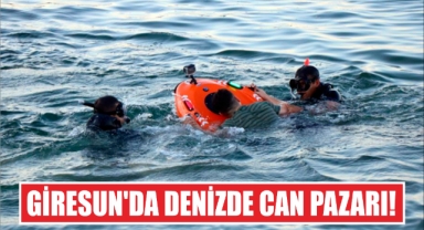 Giresun'da denizde can pazarı!
