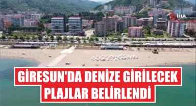Giresun'da Denize Girilecek Plajlar Belirlendi