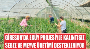 Giresun'da EKÜY Projesiyle Kalıntısız Sebze ve Meyve Üretimi Destekleniyor