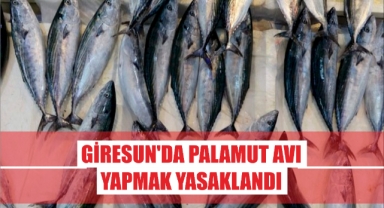 Giresun'da palamut avlayanlara ağır ceza