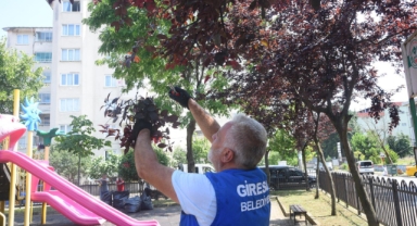 Giresun’da Park ve Bahçeler Güzelleşiyor