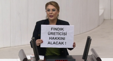 Giresun Milletvekili Gezmiş: 