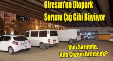 Giresun'un Otopark Sorunu Çığ Gibi Büyüyor: Kim Sorumlu, Kim Çözüm Üretecek?