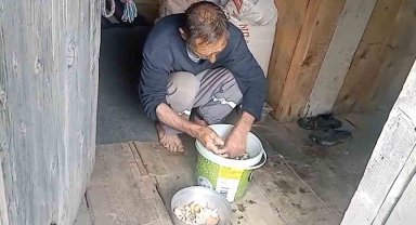 Giresun yaylalarında mantar bereketi