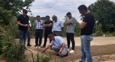 Giresun'da çiftçilere salep yumrusu desteği...