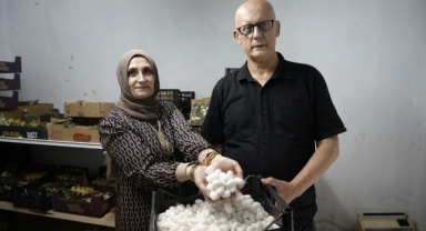 Yabani dut yaprakları ipek böceklerinin verimini arttırdı