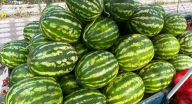 İyi karpuz seçmek artık çok kolay...