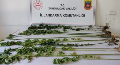 Jandarmadan uyuşturucu geçit yok