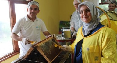 Kestane balı sağımı başladı
