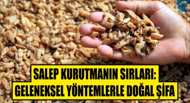 Salep Kurutmanın Sırları: Geleneksel Yöntemlerle Doğal Şifa