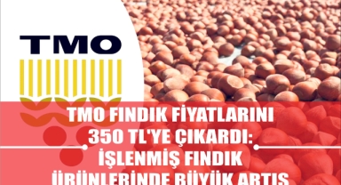 TMO Fındık Fiyatlarını 350 TL'ye Çıkardı: İşlenmiş Fındık Ürünlerinde Büyük Artış
