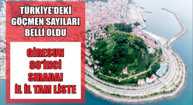 Türkiye'deki Göçmen Sayıları Belli Oldu: Giresun 80'inci Sırada! İl İl Tam Liste