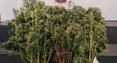 Uyuşturucudan 17 kişi yakalandı