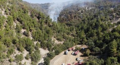 Bolu'daki orman yangını 72 saatin ardından kontrol altına alındı