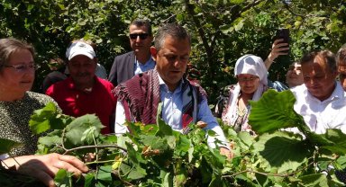 CHP'li Özel'den 'fındık fiyatı' eleştirisi: 'Hızla revize edilmeli'