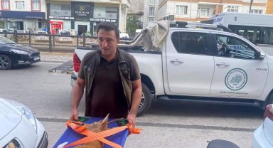 Doğa koruma ekiplerinden hayat kurtaran müdahale