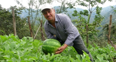 Fındık Bahçesinden Karpuz Tarlasına