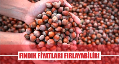 Fındık fiyatları fırlayabilir!