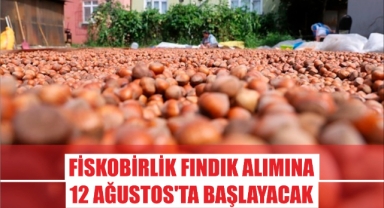 Fiskobirlik Fındık Alımına 12 Ağustos'ta Başlayacak