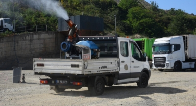 Giresun Belediyesi’nden Haşereyle Mücadelede Yoğun Mesai