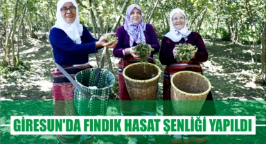 Giresun'da Fındık Hasat Şenliği Yapıldı