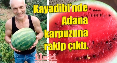Giresun'da karpuz bereketi: Kayadibi'nde Adana karpuzuna rakip çıktı