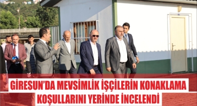 Giresun'da Mevsimlik İşçilerin Konaklama Koşulları Yerinde İncelendi