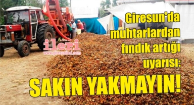 Giresun'da muhtarlardan fındık artığı uyarısı: Sakın yakmayın!