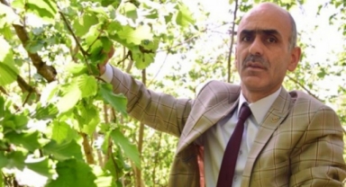 Giresun fındığına 10 TL fiyat farkı istedi