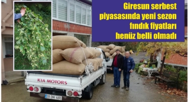 Giresun serbest piyasasında yeni sezon fındık fiyatları henüz belli olmadı