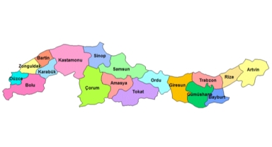 Giresun, Trabzon, Artvin, Ordu ve Samsun tehdit altında! Tablo korkunç! Fındıkta yüzde 60 zarar var