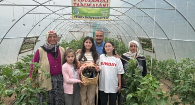 Giresun'un Turizm Cenneti, Örtüaltı Sebze Üretimi Merkezi Oldu!