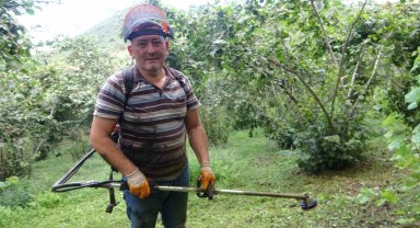 Giresun'da üreticiler fındık hasadına hazırlanıyor: Bahçelerde temizlik mesaisi