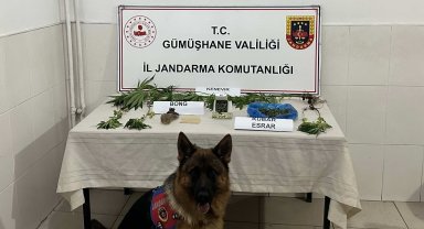 Gümüşhane'de suçlu çatıda kıstırıldı...