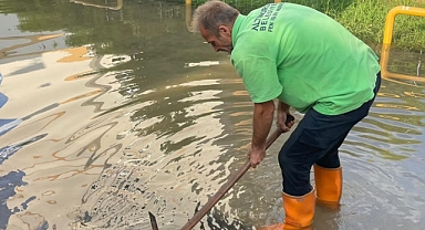Ordu'da şiddetli yağış su baskınlarına neden oldu