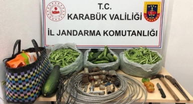Hurdalarla yetinmediler, salatalık, fasulye, domates ve kabakları da çaldılar ama yakalandılar