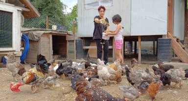 Köy hayatıyla gelen şifa