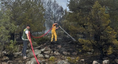 Orman yangınına erken müdahale faciayı önledi