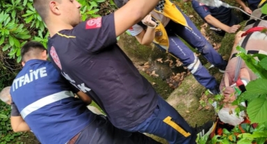 Ormanda yaralandı, sedyeyle 1 kilometre taşındı, hastaneye ulaştırıldı