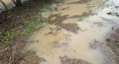 Sağanak, üreticiyi vurdu