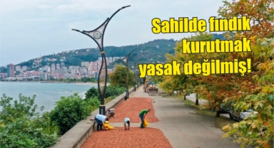 Sahilde fındık kurutmak yasak değilmiş!