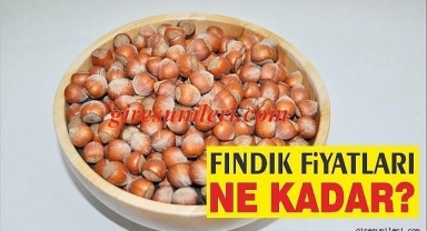 Serbest piyasada Giresun kalite fındık kaç liraya yükseldi?
