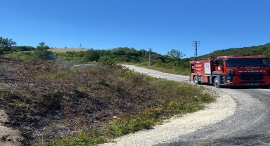 Sinop'ta çıkan orman yangını söndürüldü