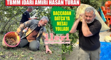 TBMM İdari Amiri Hasan Turan, Giresun’daki baççadan Datça’ya mesaj yolladı!
